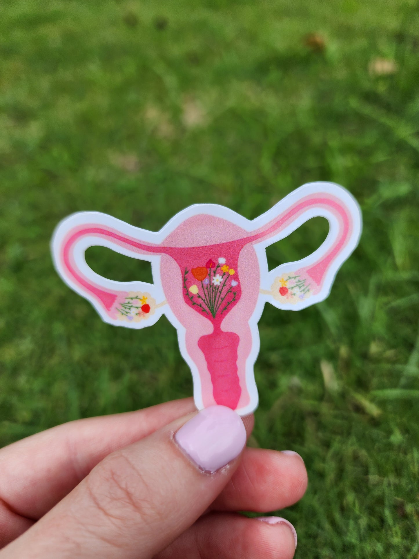 Female Reproductive System