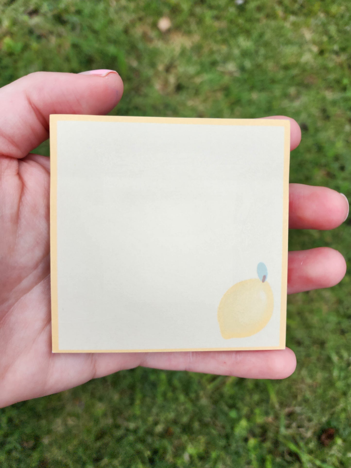 Petite Fruits Sticky Notes