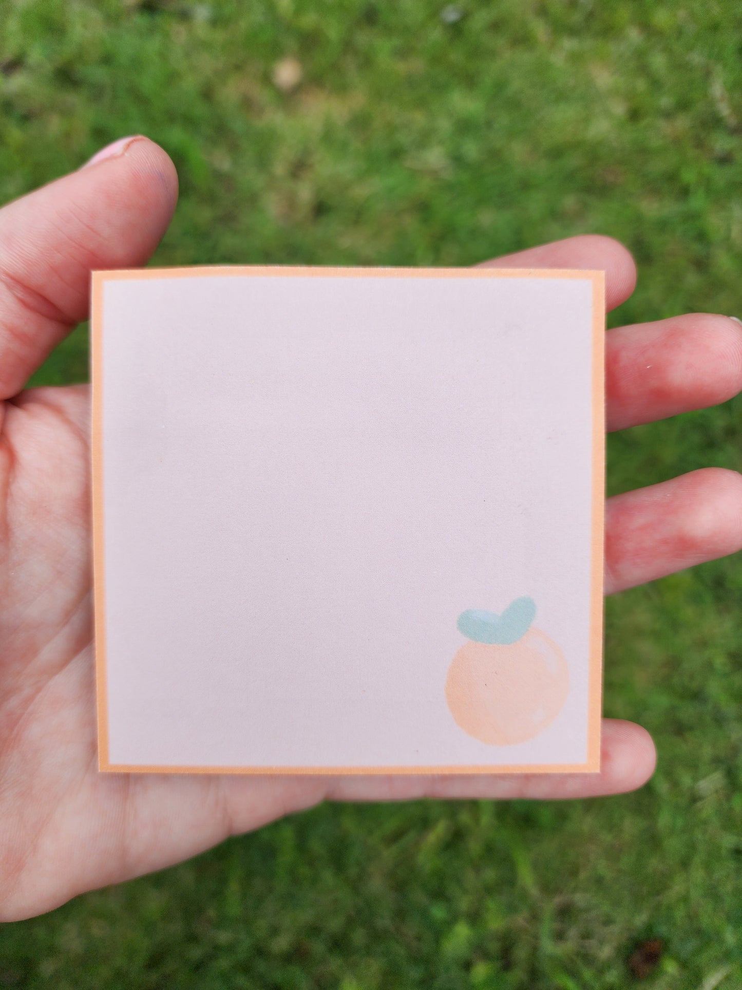 Petite Fruits Sticky Notes